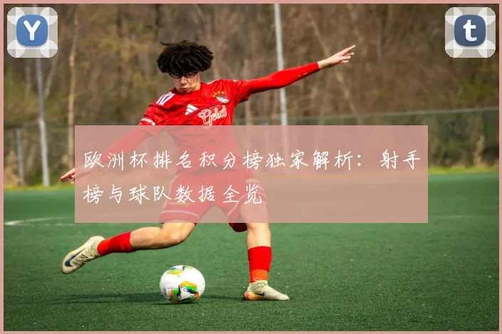 欧洲杯排名积分榜独家解析：射手榜与球队数据全览