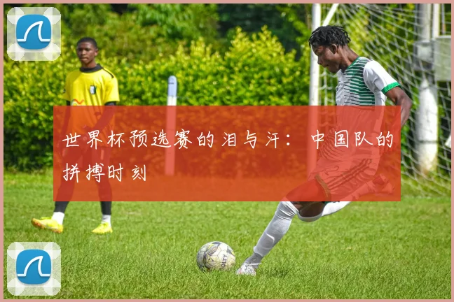 世界杯预选赛的泪与汗:中国队的拼搏时刻