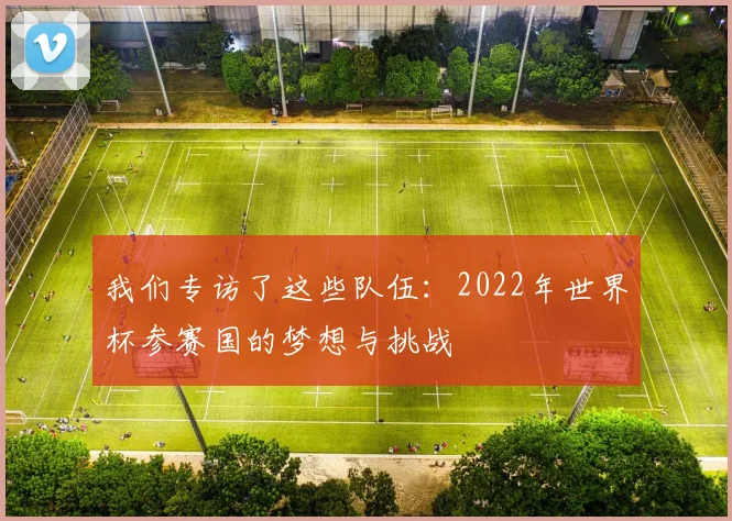 我们专访了这些队伍：2022年世界杯参赛国的梦想与挑战