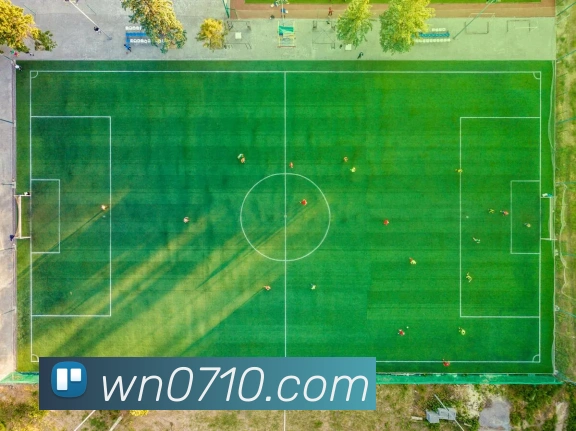 多媒体互动体验